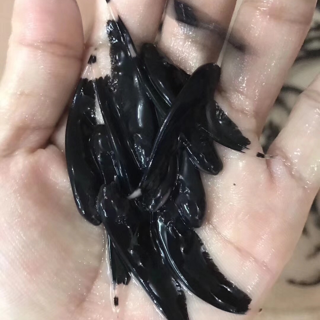 象山么刀苗
