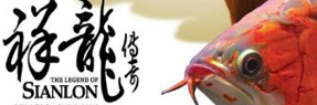 象山水族批发市场|象山观赏鱼批发市场