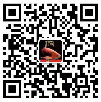 象山水族批发市场|象山观赏鱼批发市场微信