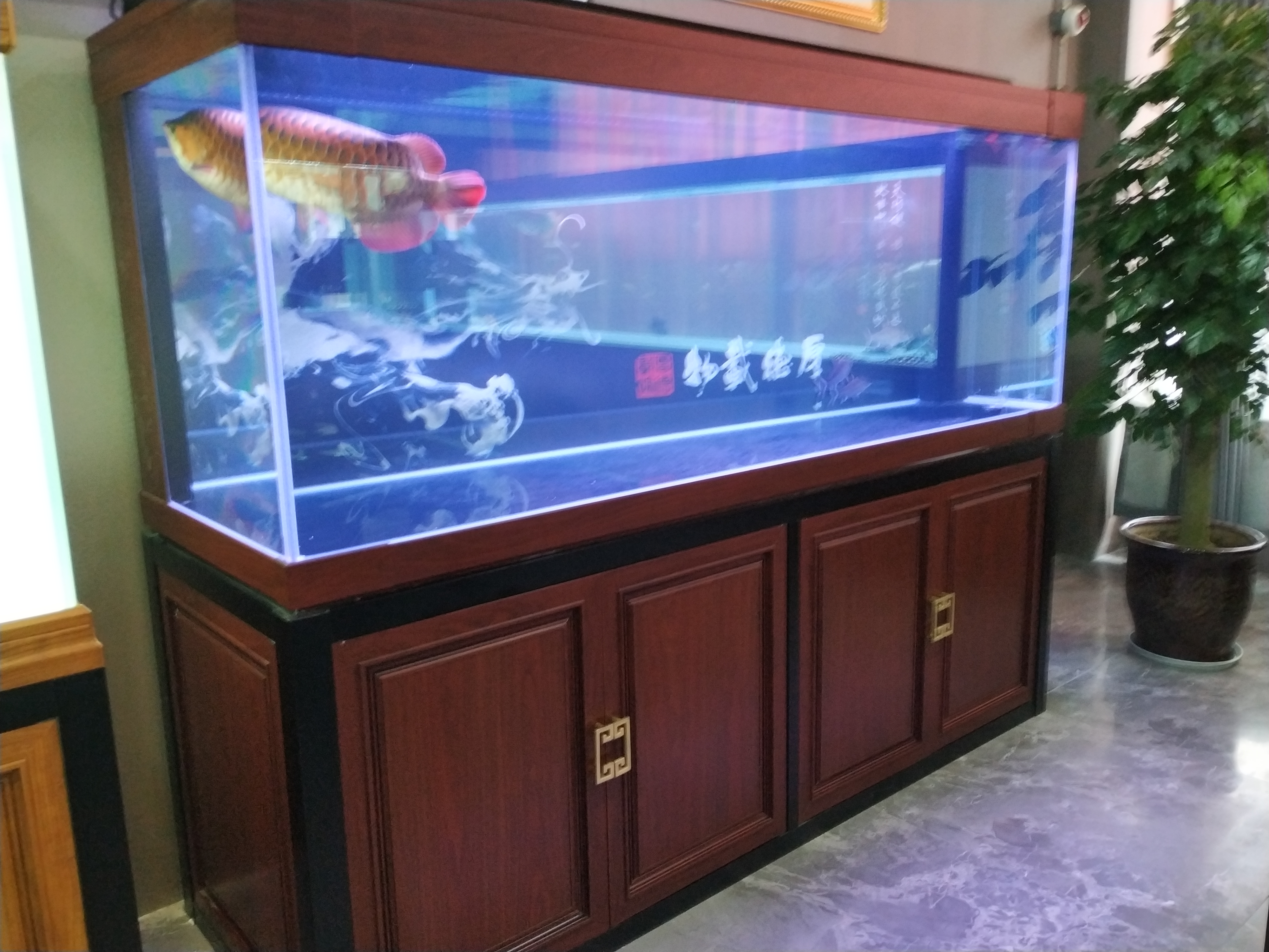 象山祥龙鱼缸