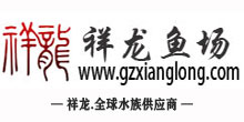 广州祥龙鱼场