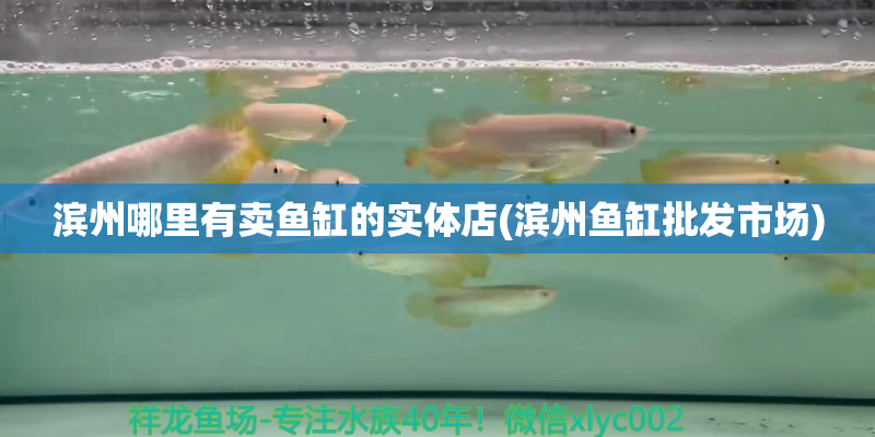 象山滨州哪里有卖鱼缸的实体店(滨州鱼缸批发市场)