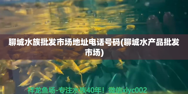 象山聊城水族批发市场地址电话号码(聊城水产品批发市场)
