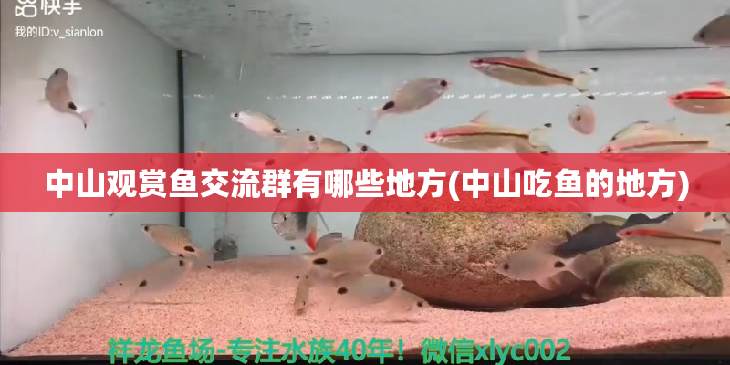 象山中山观赏鱼交流群有哪些地方(中山吃鱼的地方)