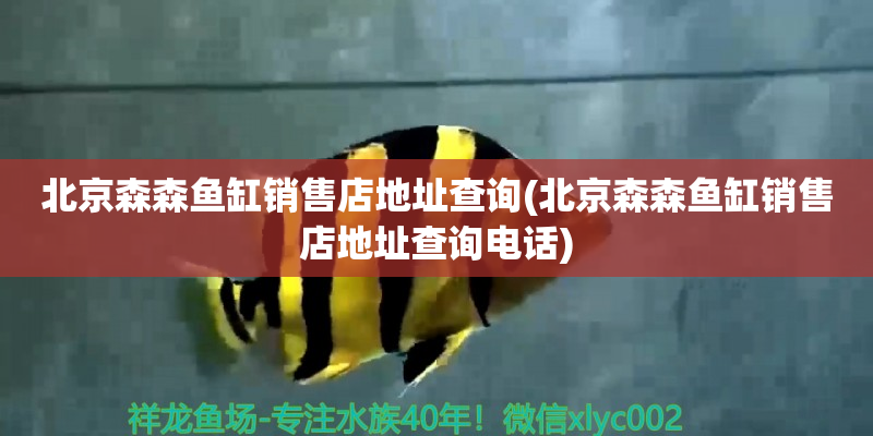 象山北京森森鱼缸销售店地址查询(北京森森鱼缸销售店地址查询电话)