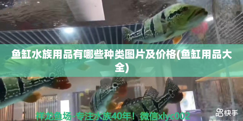 象山鱼缸水族用品有哪些种类图片及价格(鱼缸用品大全)