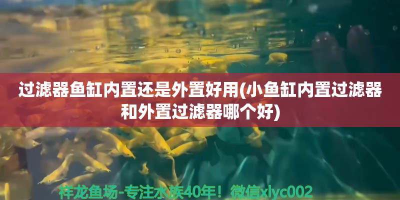 象山过滤器鱼缸内置还是外置好用(小鱼缸内置过滤器和外置过滤器哪个好)