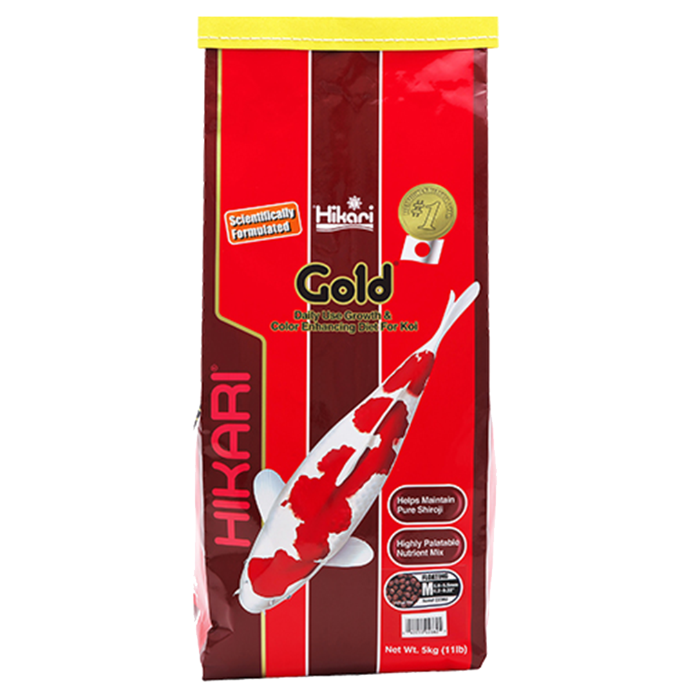 Saint Albans Hikari-Gold-Medium-Large-5kg