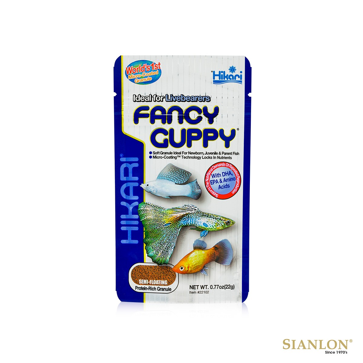 Saint Albans Hikari Fancy Guppy
