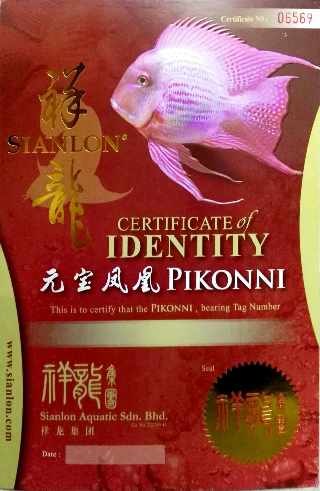 Saint Albans CERTIFICATE of DENTITY  PIKONNI